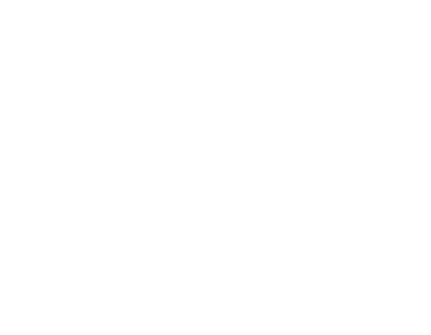 ADJ Audio e Iluminación Angel